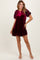 Burgundy Velvet Floral Lace Short Sleeve Dress